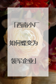 西南小厂如何蝶变为领军企业